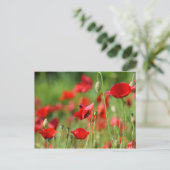 papaver briefkaart (Staand voorkant)