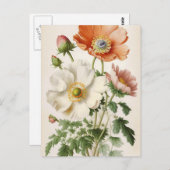  papaver briefkaart (Voorkant / Achterkant)