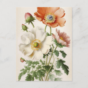  papaver briefkaart