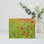 papaver briefkaart (Staand voorkant)