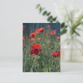 papaver briefkaart (Staand voorkant)