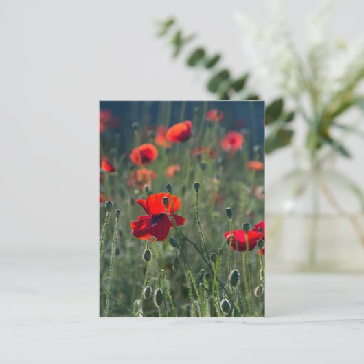 papaver briefkaart (Staand voorkant)