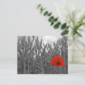 Papaver Briefkaart (Staand voorkant)