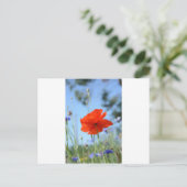Papaver Briefkaart (Staand voorkant)