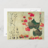 papaver briefkaart (Voorkant / Achterkant)