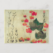 papaver briefkaart (Voorkant)