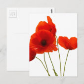 papaver briefkaart (Voorkant / Achterkant)