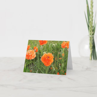Papaver in de wind kaart
