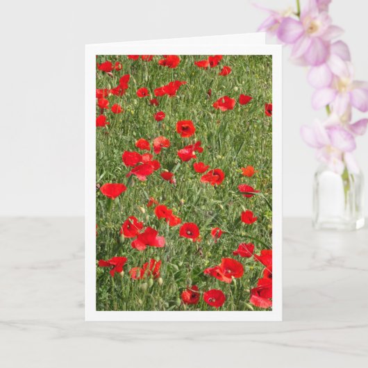 Papaver in veld Kaart (Orchidee)