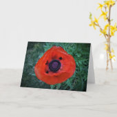 Papaver, kaart (Gele Bloem)