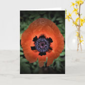 Papaver, kaart (Gele Bloem)