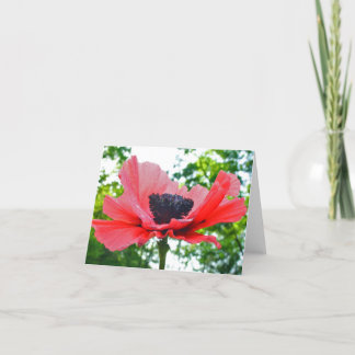 Papaver Lege Notecard Kaart