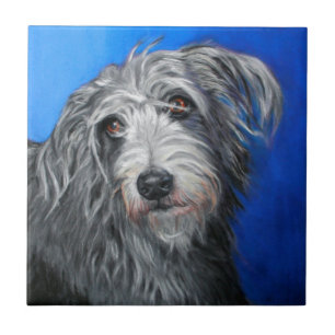 ' papaver' - Lurcher girl Tegeltje