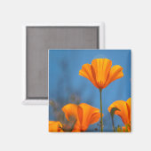 papaver magneet (Voorkant / Achterkant)