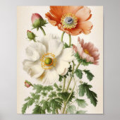  papaver poster (Voorkant)