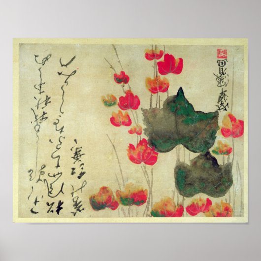 papaver poster (Voorkant)