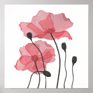 papaver poster
