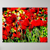 papaver poster (Voorkant)