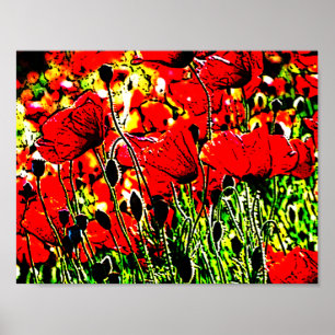 papaver poster