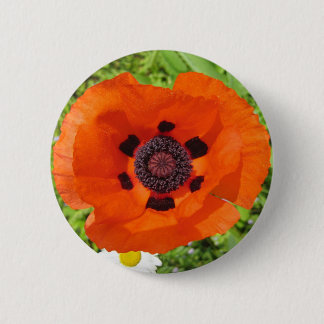 Papaver Ronde Button 5,7 Cm