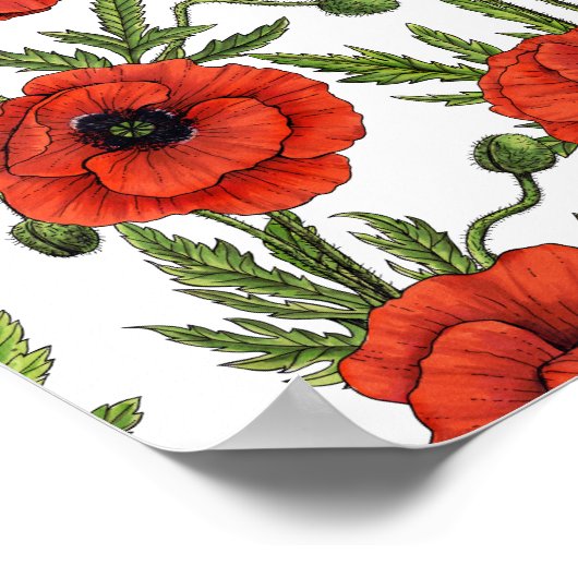 Papaver, rood en groen op wit poster (Hoek)