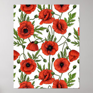 Papaver, rood en groen op wit poster