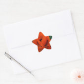 papaver ster sticker (Envelop)