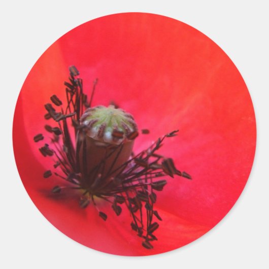Papaver Stickers (Voorkant)