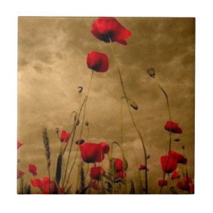 papaver tegeltje