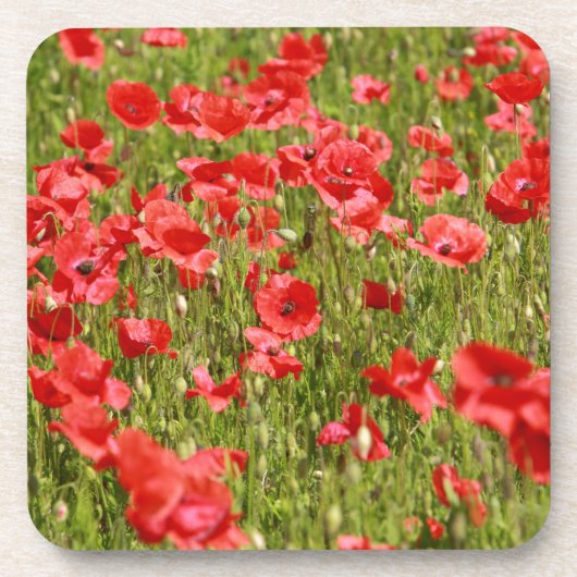 Papaver veld - Verbluffend! Drankjes Onderzetter (Voorkant)