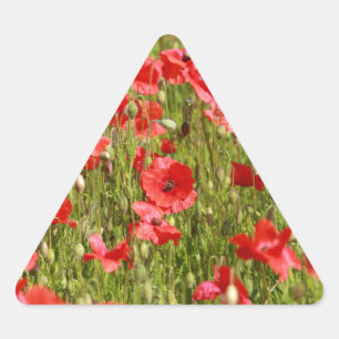 Papaver veld - Verbluffend! Driehoek Sticker