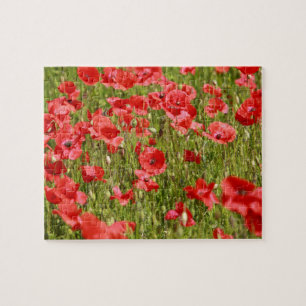 Papaver veld - Verbluffend! Legpuzzel