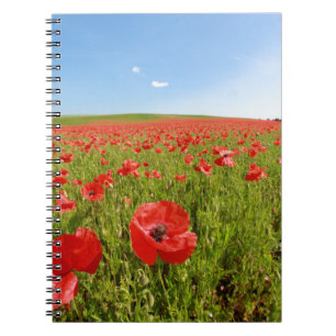 Papaver veld - Verbluffend! Notitieboek