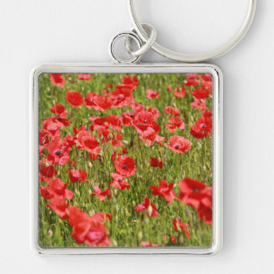 Papaver veld - Verbluffend! Sleutelhanger
