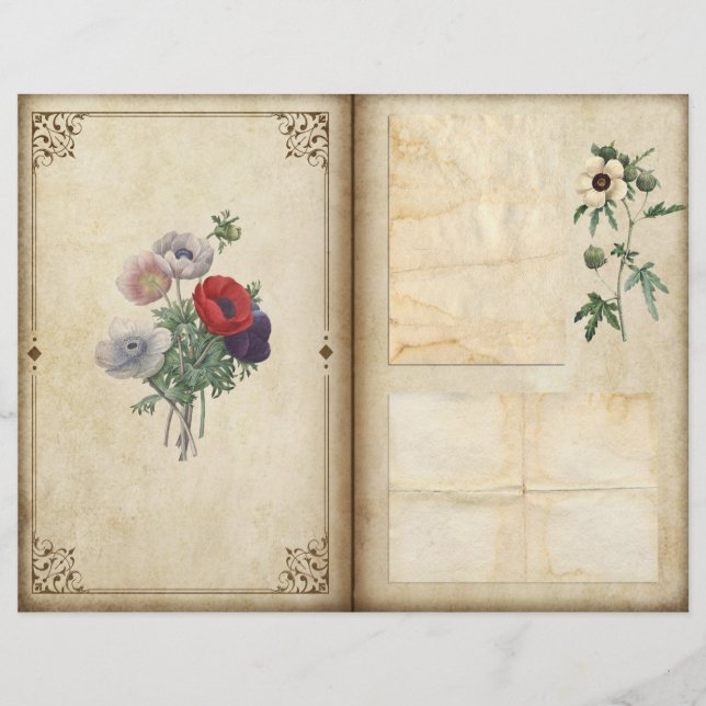  papaver Victoriaans Botanische Journal Pagina (Voorkant)