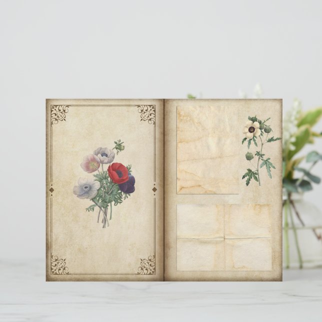  papaver Victoriaans Botanische Journal Pagina (Staand voorkant)