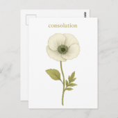 Papaver (wit) — troost briefkaart (Voorkant / Achterkant)