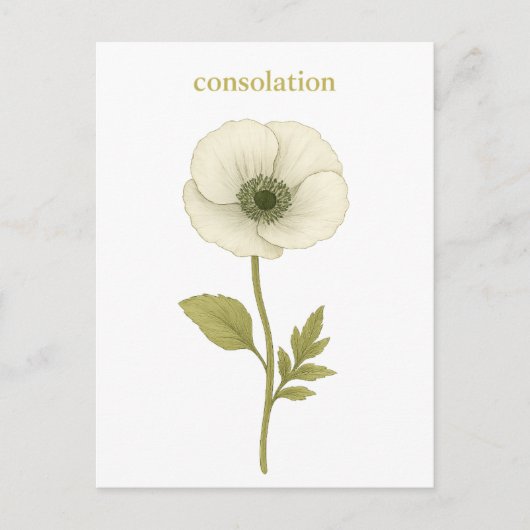 Papaver (wit) — troost briefkaart (Voorkant)