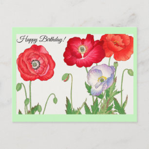 papaverbloem briefkaart