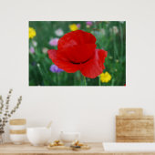 Papaverbloem en betekenis poster (Keuken)