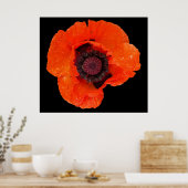 papaverbloem na regenval poster (Keuken)