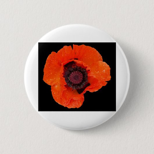 papaverbloem na regenval ronde button 5,7 cm (Voorkant)