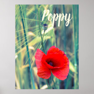 Papaverbloem voor tuinders en cadeau voor bloesem poster
