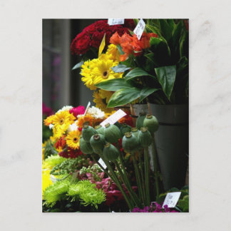 Papaverhoofden Briefkaart