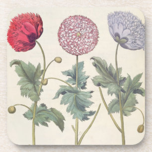 Papavers: 1.Papaver multiplex albumoris rubicundis Bier Onderzetter