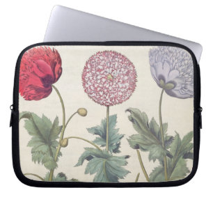Papavers: 1.Papaver multiplex albumoris rubicundis Laptop Sleeve
