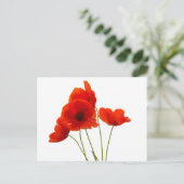 papavers briefkaart (Staand voorkant)