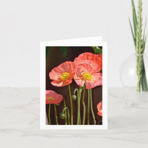 Papavers - Briefpapier Notitiekaartje