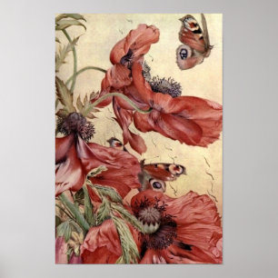 papavers en botervliegen poster