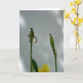 Papavers en schaduwen 5 Einde van de levensduur vo Kaart (Gele Bloem)